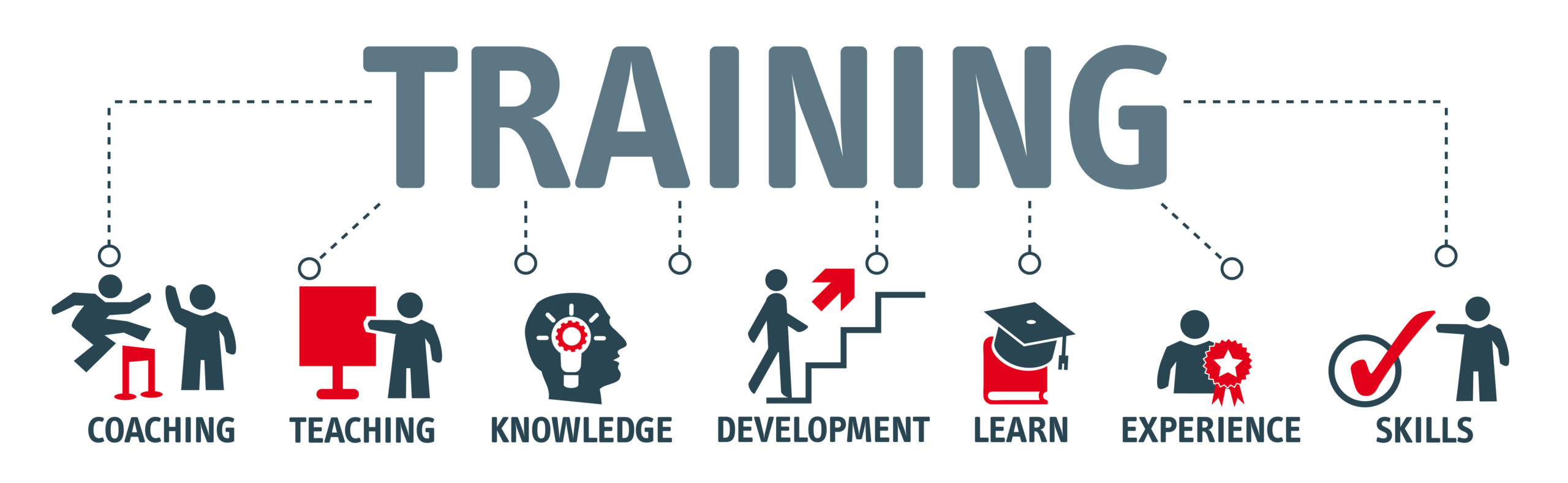 De voordelen van een incompany training bij Incompanybrain. Een goede training levert je coaching, kennis, ontwikkeling, ervaring en vaardigheden.