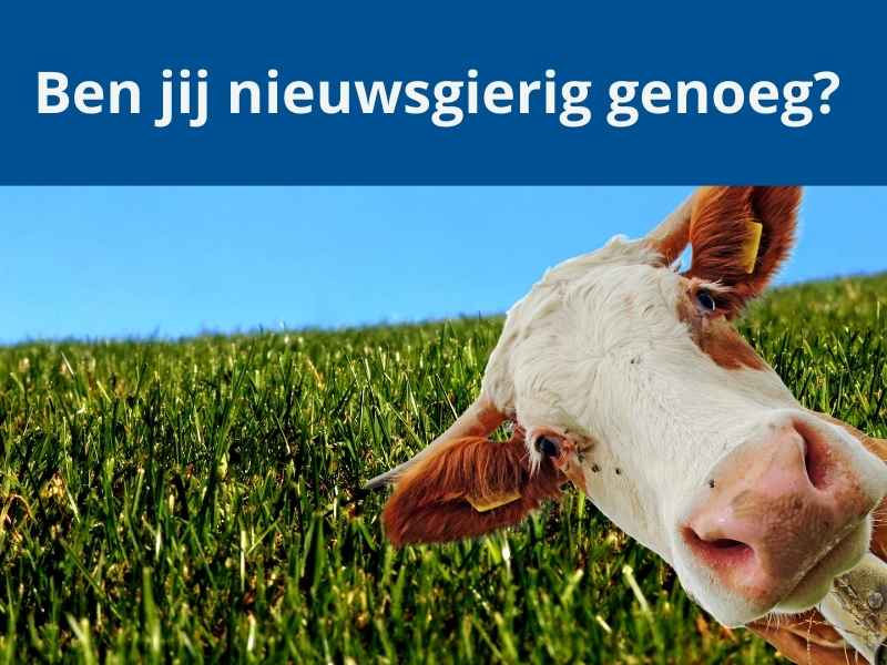 Blog Ben jij nieuwsgierig genoeg