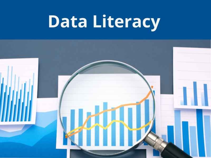 Training Data Literacy - Incompanybrain