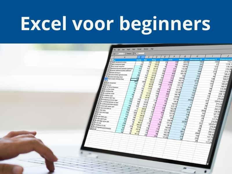 Training Excel voor beginners - Incompanybrain